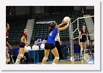 vs Liberal * (396 Slides)